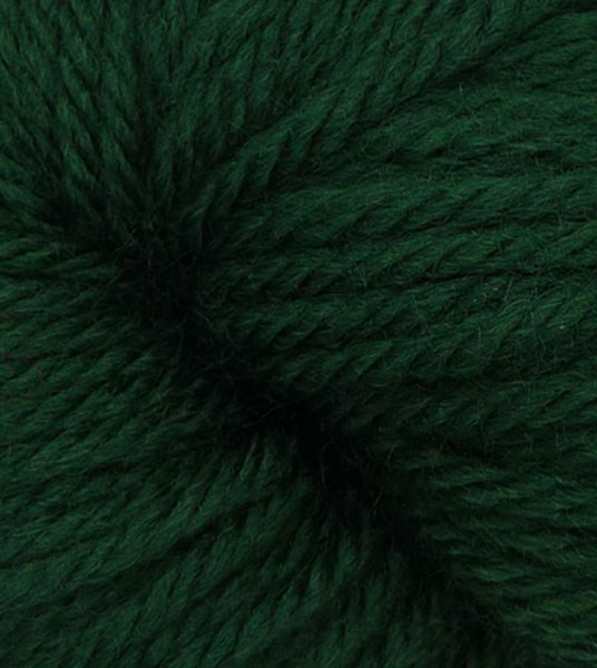 Q61222-Forest-thumb